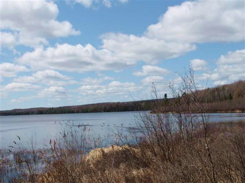 E Cable Lake Rd, Mls 1086720 Farm for Sale in Amasa, Iron County
