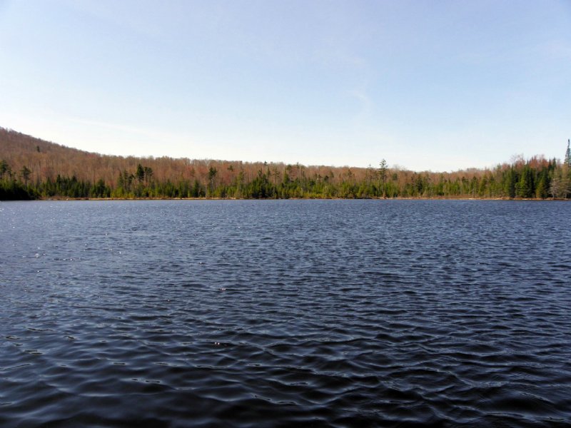 East Pond Forest : Tupper Lake : Franklin County : New York