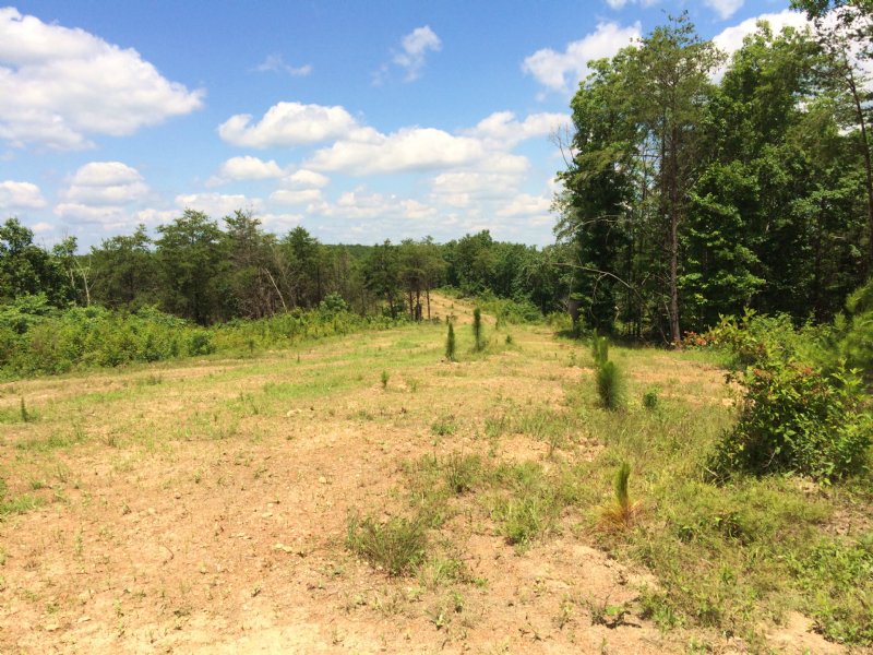 White Oak Plantation High Fence, Farm for Sale in Alabama, 91866