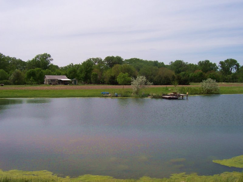 Yutan Recreational Land, Farm for Sale in Nebraska, 91889 FARMFLIP