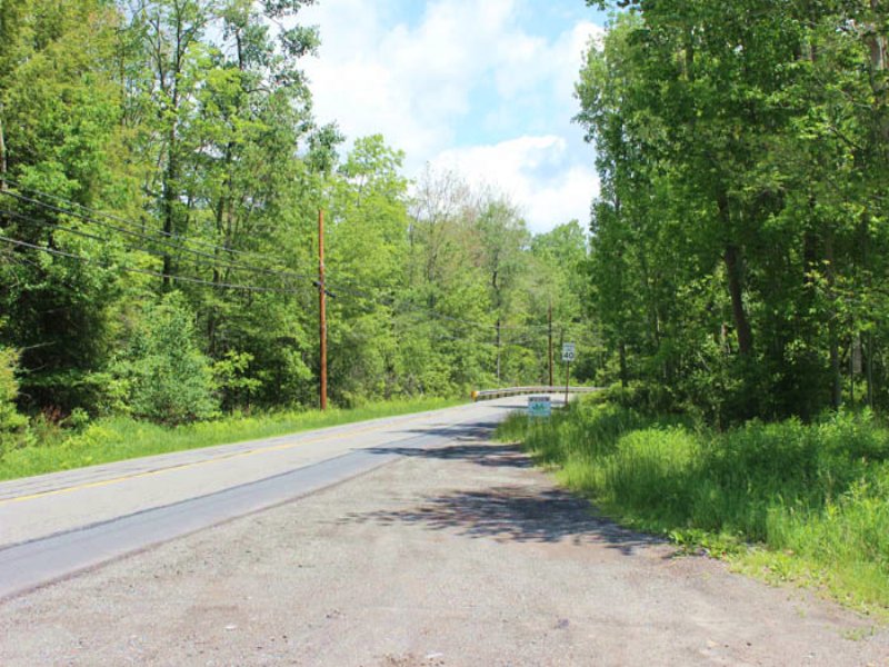 132+/ Acres Of Land, Farm for Sale in Pennsylvania, 92353 FARMFLIP