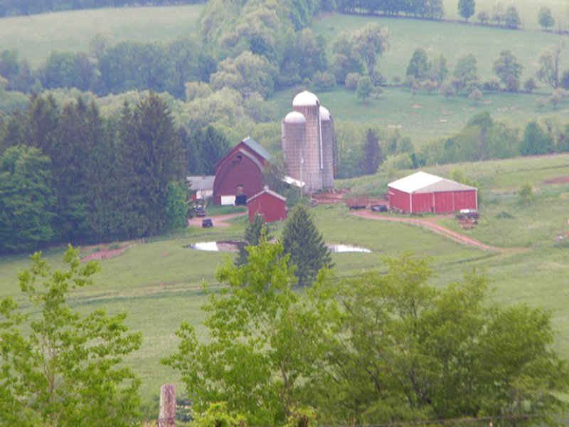 Farm 2 Houses 246 Acres Cattle, Farm for Sale in New York, 92700