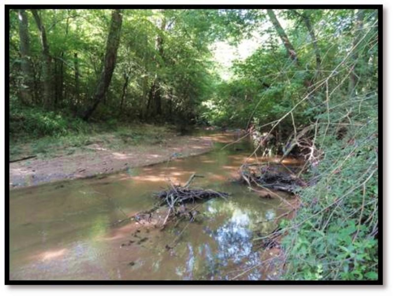 Durbin Creek Tract, Farm for Sale in South Carolina, 92754 FARMFLIP