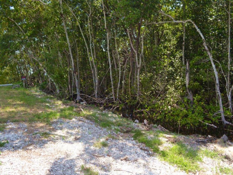 Chokoloskee Everglades : Chokoloskee : Collier County : Florida