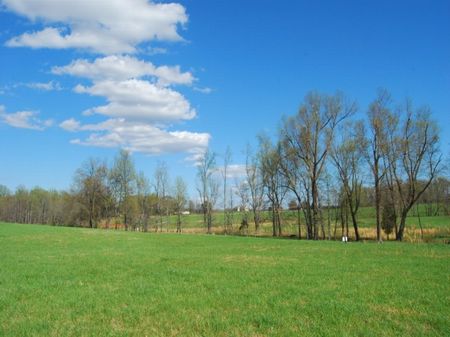 8.14 Acres Near Inman : Inman : Spartanburg County : South Carolina