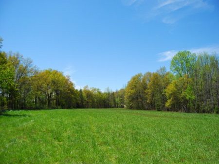18.36 Acre Farm : Chesnee : Spartanburg County : South Carolina
