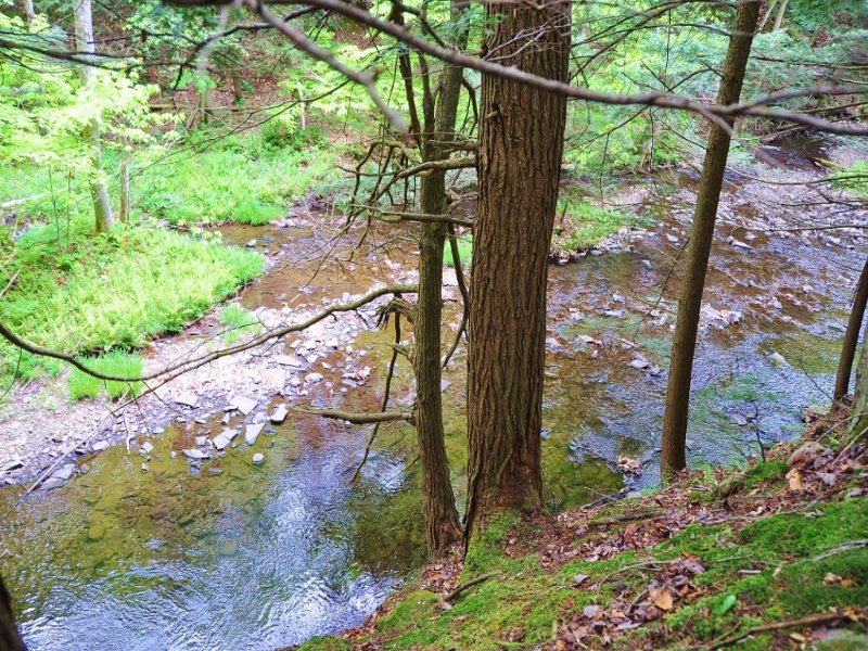 5 Acres 339' On Trout Brook 18,900, Farm for Sale by Owner in New York