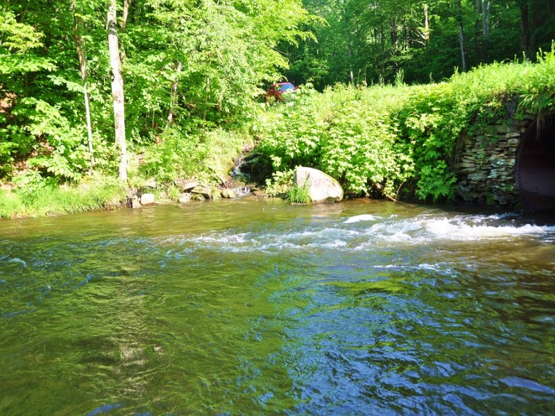 15 Acres 300' Waterfront 38,800, Farm for Sale by Owner in New York