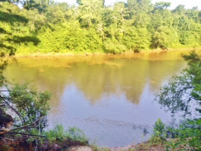 100 Acres Hunting Land On Leaf Rive, Farm for Sale in Mississippi