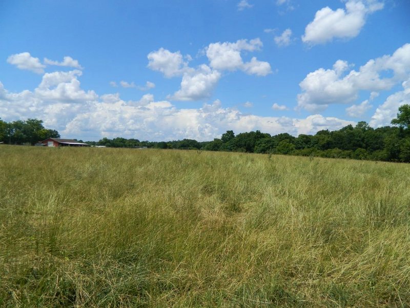 17.37 Acres Fenced Pasture / Creek : Danielsville : Madison County : Georgia