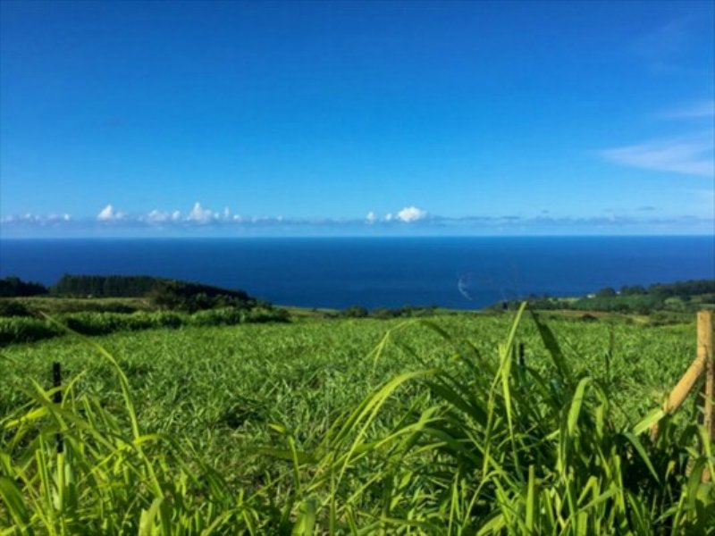 20 Ac Hamakua Coast 450, Farm for Sale by Owner in Hawaii, 93956