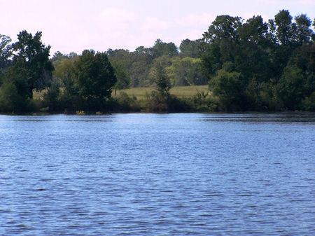 Bass Country : Blakely : Early County : Georgia