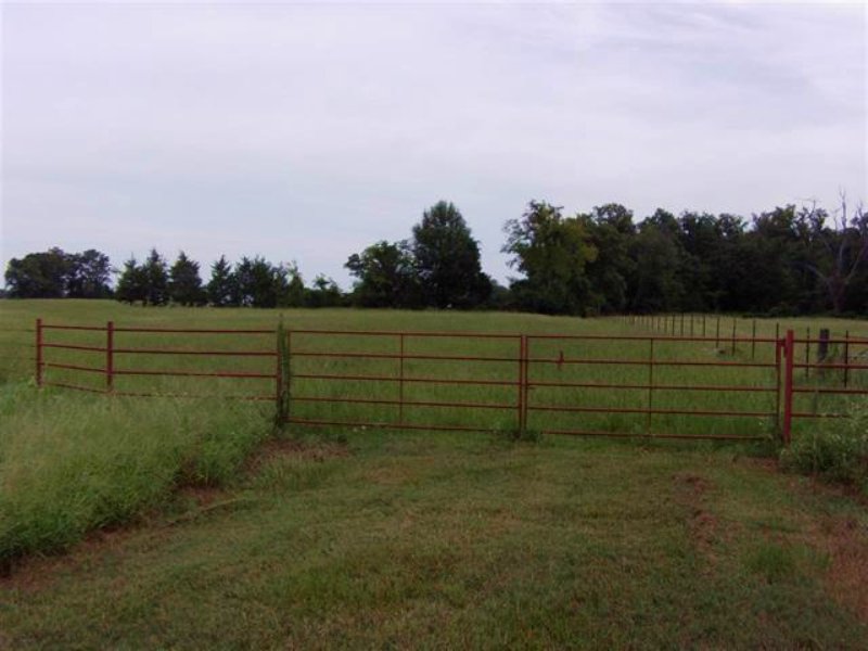 59+ Acres 29307 : Avery : Red River County : Texas