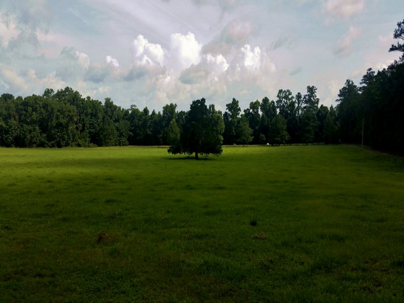 229± Acre Reddick Ranch, Farm for Sale in Florida, 94463 FARMFLIP