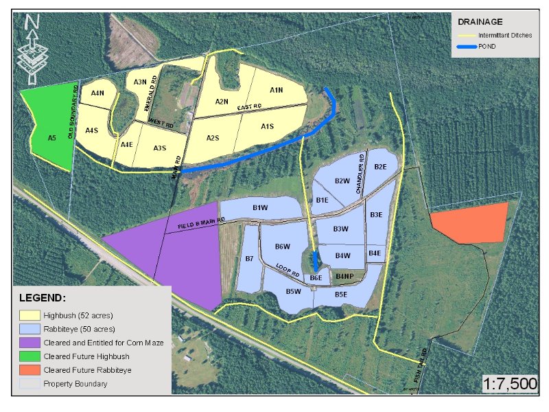 Blueberry Farm for Sale, Farm for Sale by Owner in