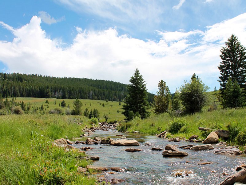 Big Horn Mountain Hunting Property, Farm for Sale in Wyoming, 94654