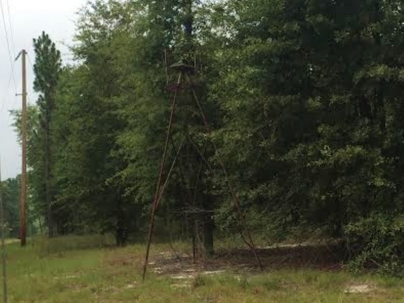 50 Acres Off Holmes Pond Rd. Farm for Sale in Johnston, Edgefield