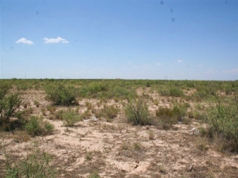 Vacant Acreage for Sale : Pecos : Reeves County : Texas