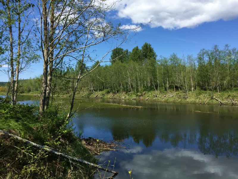 River Frontage & Oxbow Lake Farm for Sale by Owner in Toutle, Cowlitz