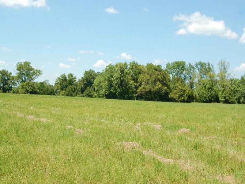 5 Ac. Zoned 4 New Pike Road School : Pike Road : Montgomery County : Alabama