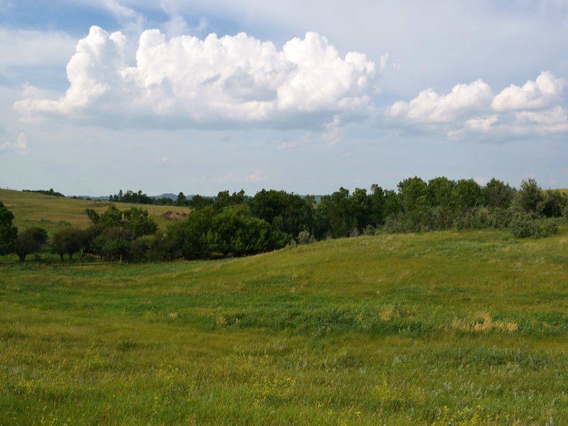 Whitetail Creek Ranch, Farm for Sale in North Dakota, 96274 FARMFLIP