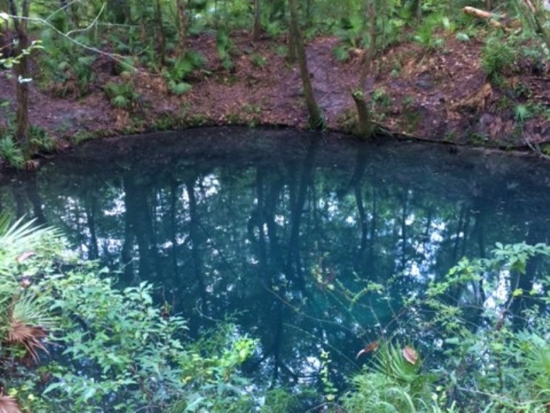 Chipola River, Farm for Sale in Florida, 96349 FARMFLIP