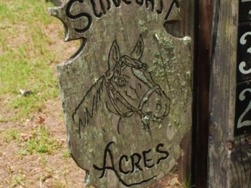 Reduced 15 Ac House/pool h-292 : Hawthorne : Putnam County : Florida