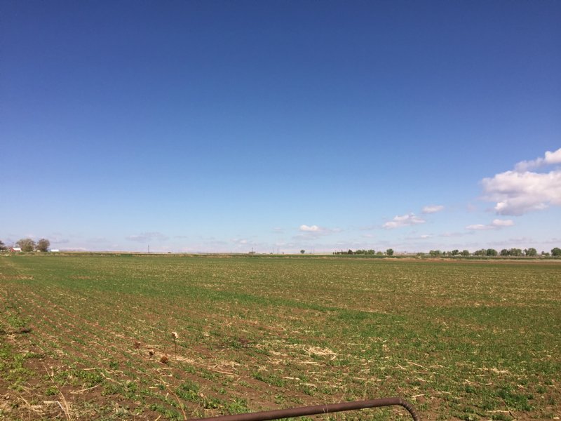 Ault Farmland and Development, Farm for Sale in Colorado, 97241 FARMFLIP