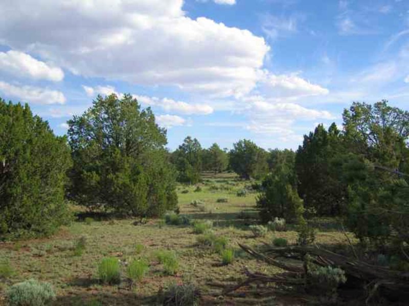 36 Acre Wilderness Freedom Ranch, Farm for Sale in Arizona, 97419