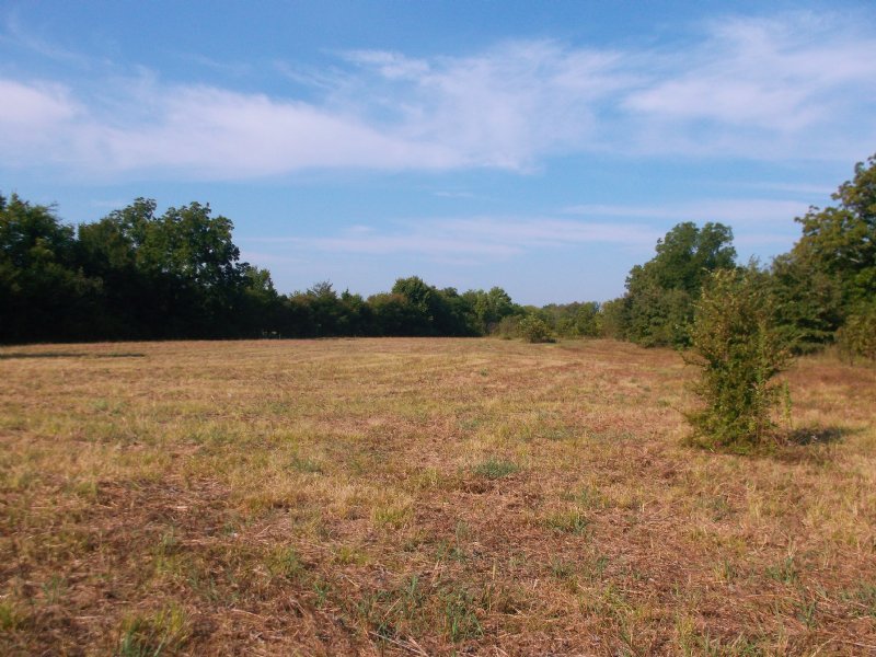 Small Acreage for Sale in Ne Tx, Farm for Sale in Texas, 97621 FARMFLIP