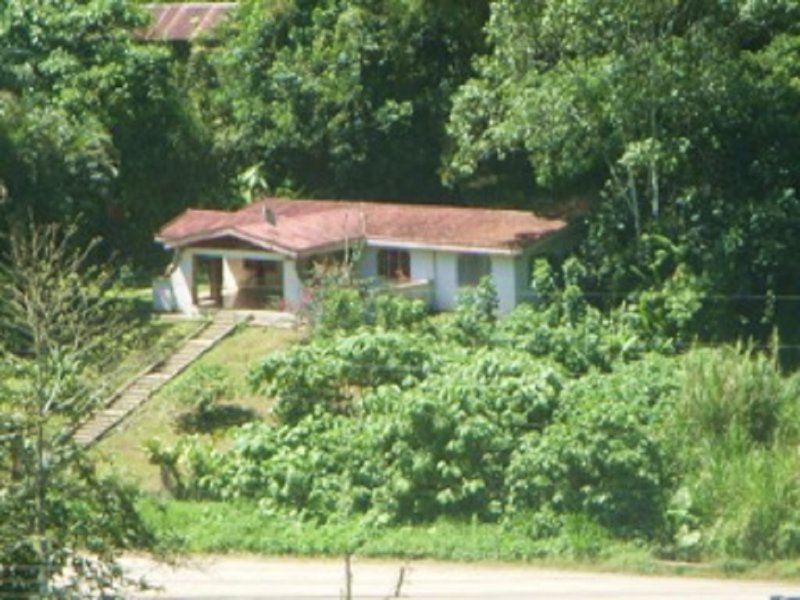 43.7 Acre MT Farm, 4 Bdrm 2B House : Tuis De Turrialba : Costa Rica