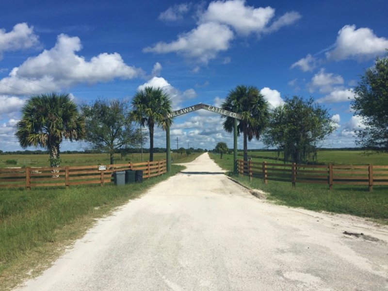 Willaway Cattle Ranch : Okeechobee : Okeechobee County : Florida