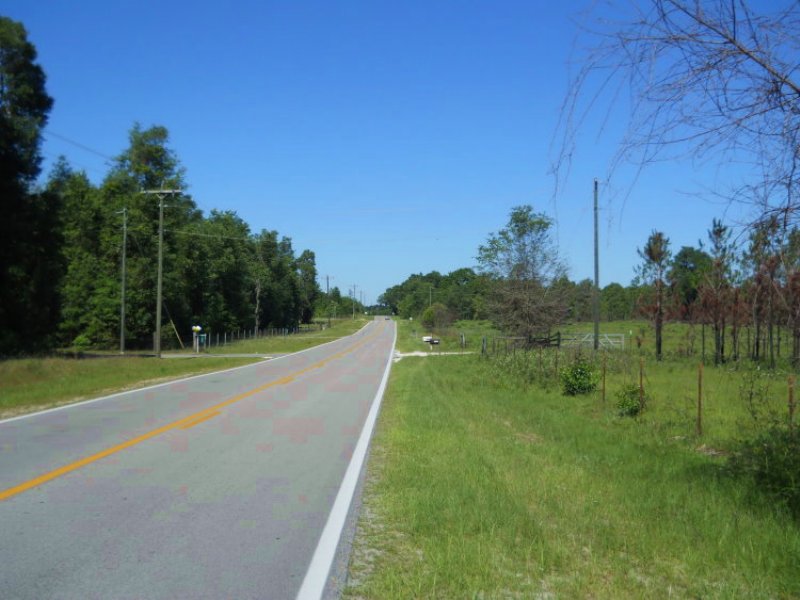 48 Acres On Paved Road : Fort White : Columbia County : Florida