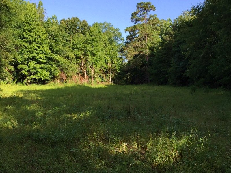 Riverfront Recreational Property Farm for Sale in Aliceville, Sumter