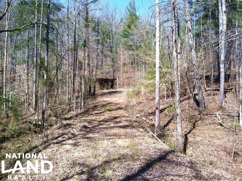 Pickens Recreational Tract, Farm for Sale in South Carolina, 98602