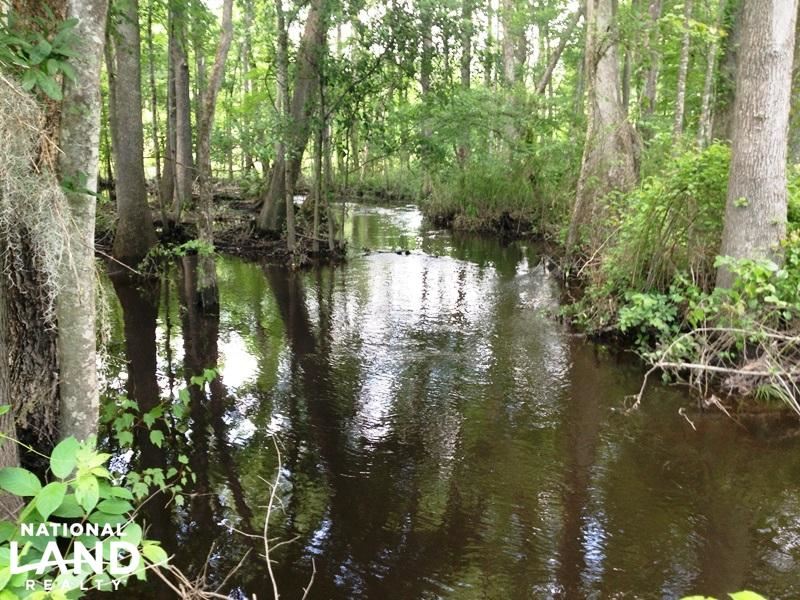 Congaree Hunting and Timber Land : Eastover : Richland County : South Carolina