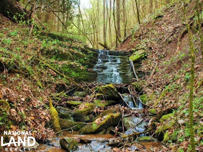 Jones Cove Recreational Land Farm for Sale in Sevierville, Sevier