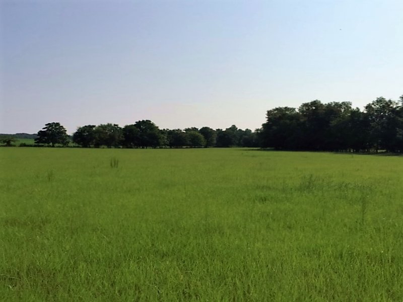 60 Acre Farmland, Farm for Sale in Florida, 99245 FARMFLIP