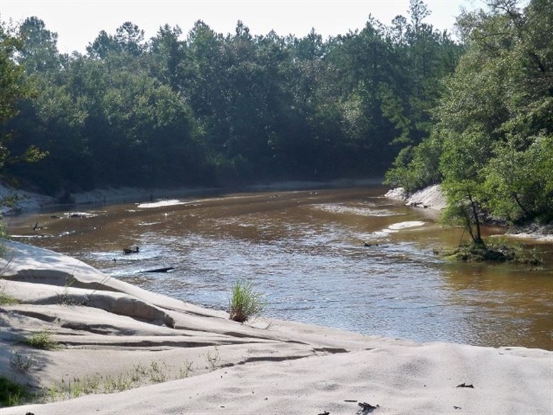 Lott Road Escatawpa River Tract : Citronelle : Mobile County : Alabama