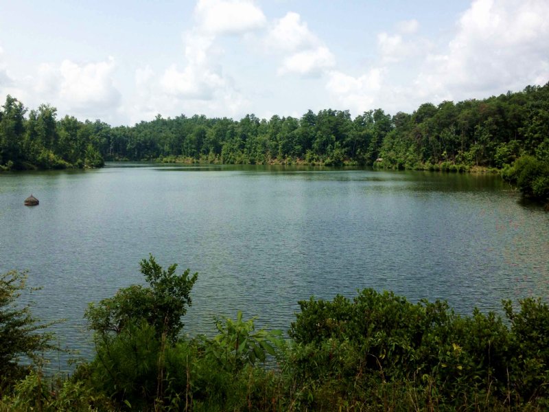 Pine Valley Plantation, Farm for Sale in Alabama, 99481 FARMFLIP