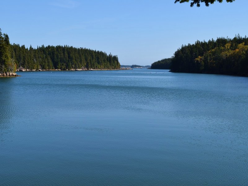 Great Wass Island Acreage, Farm for Sale in Maine, 99527 FARMFLIP