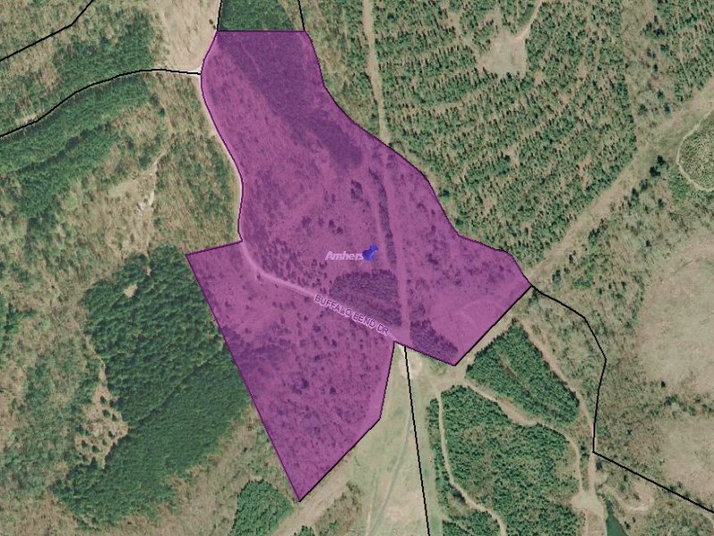 25.36 Wooded Acres : Amherst : Amherst County : Virginia