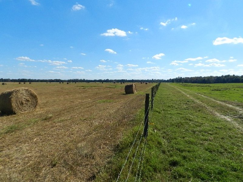 625 Ac Working Cattle Farm Farm for Sale in Milledgeville, Baldwin