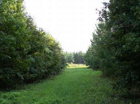 Double Branch Farm : Bainbridge : Decatur County : Georgia