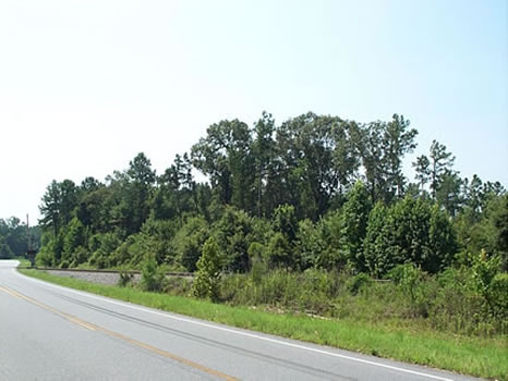 78 Acres : Guyton : Effingham County : Georgia