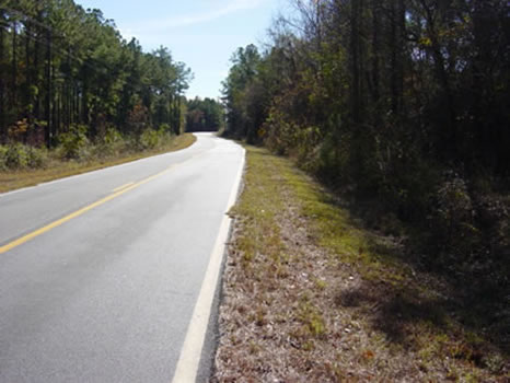 300 +/- Acres : Irwinton : Wilkinson County : Georgia