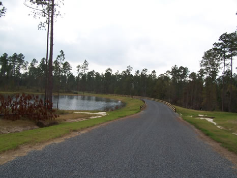 6.87 Acre Lot | Highland Lakes : Eastman : Dodge County : Georgia